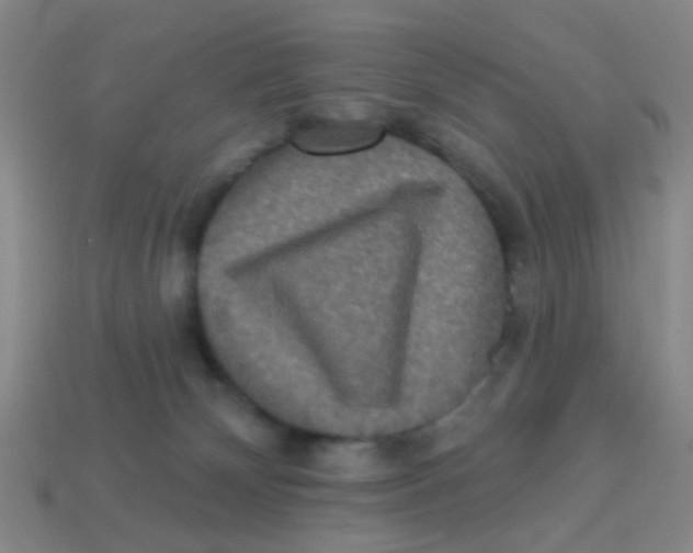 X0000113880132200910221404