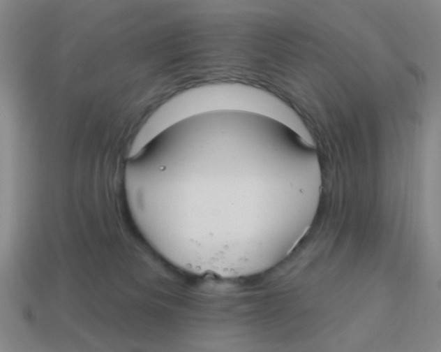 X0000113880133200910221404