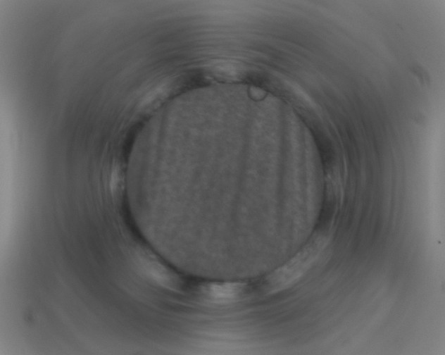 X0000113880134200910221404