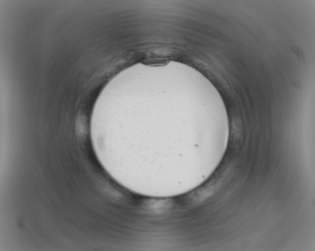 X0000113880135200910221404