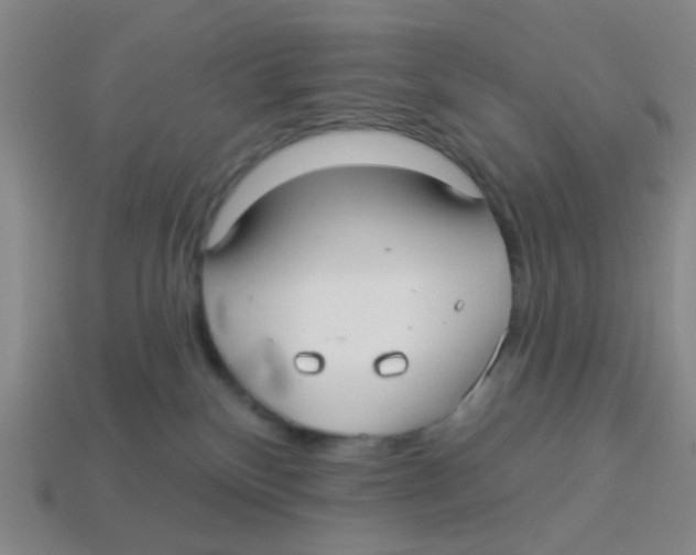 X0000113880136200910221404