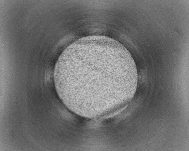 X0000113880138200910221404