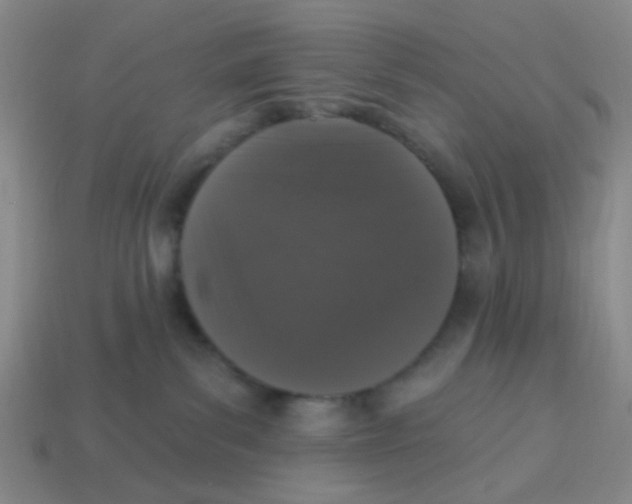 X0000113880139200910221404