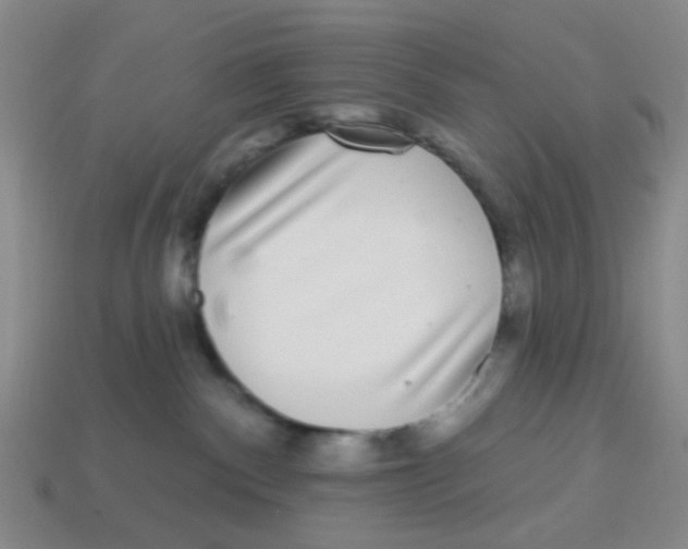 X0000113880140200910221404