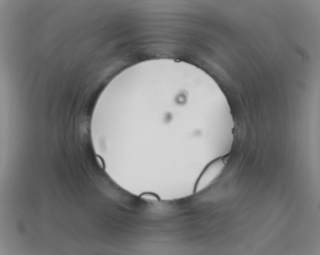 X0000113880141200910221404