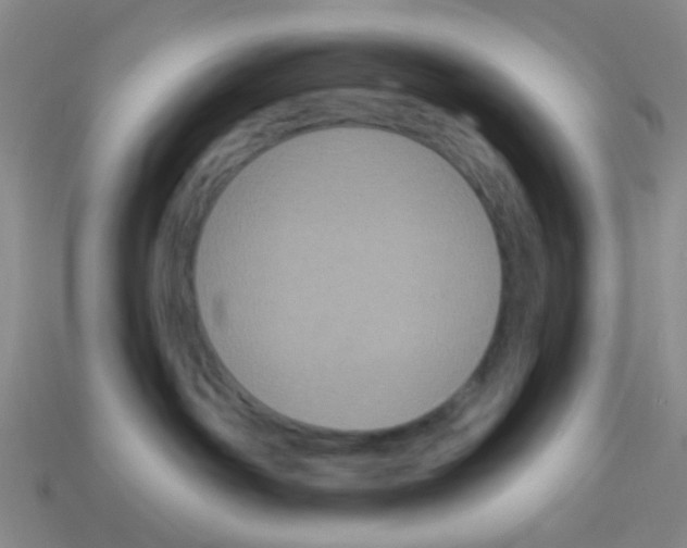 X0000113880142200910221404