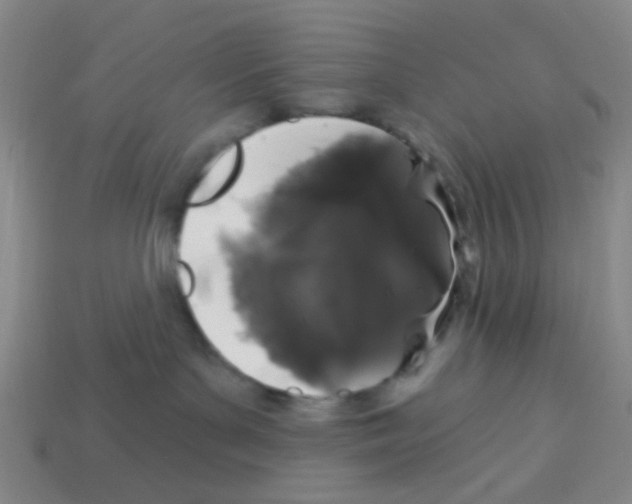 X0000113880143200910221404