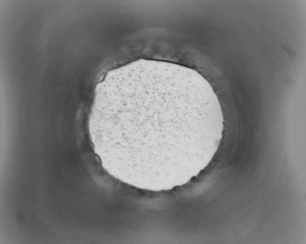 X0000113880144200910221404