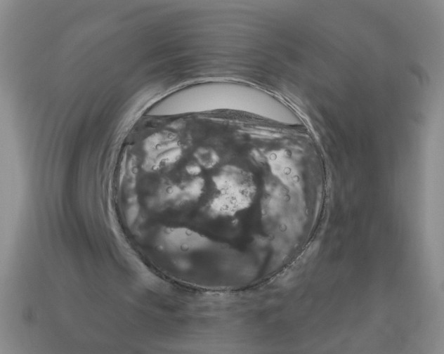 X0000113880145200910221403