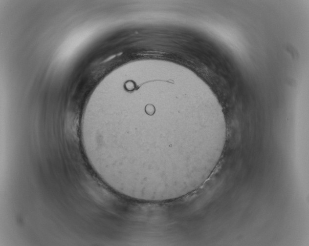 X0000113880146200910221403