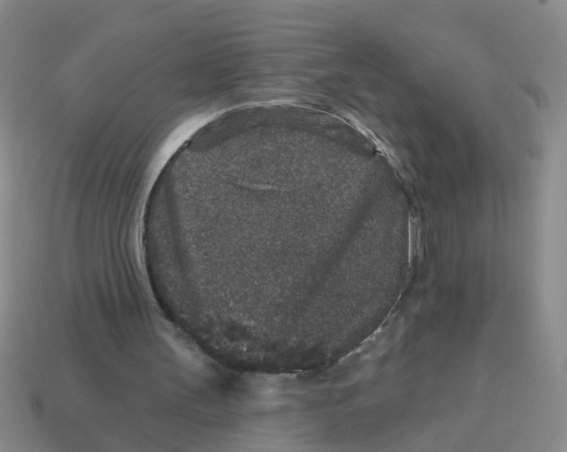 X0000113880147200910221403