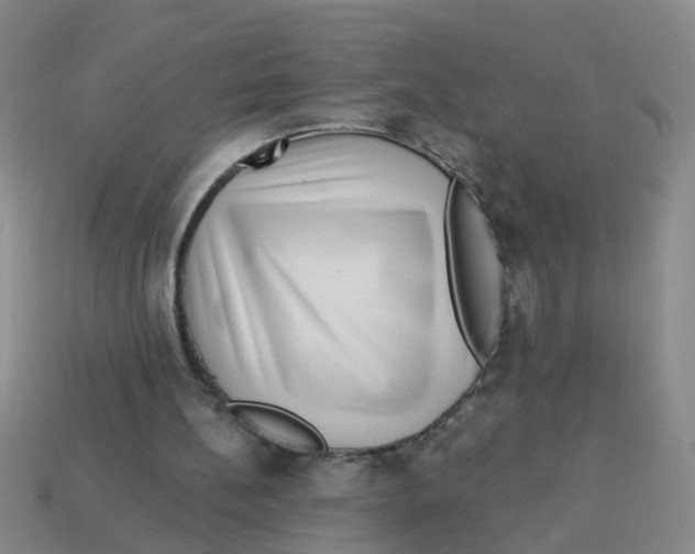 X0000113880148200910221403