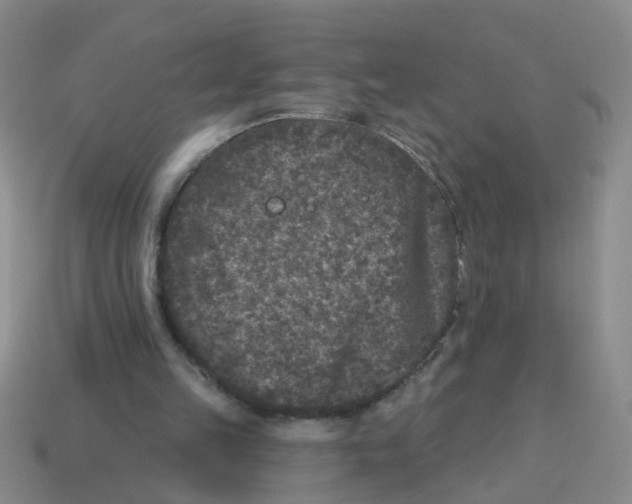 X0000113880149200910221403