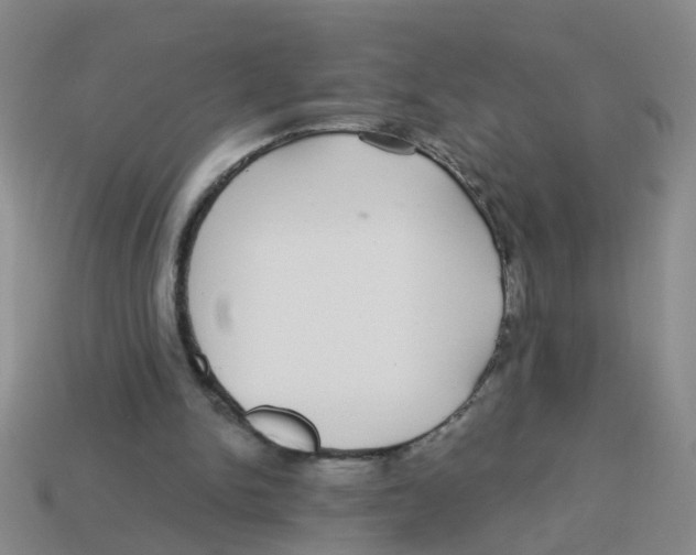 X0000113880150200910221403