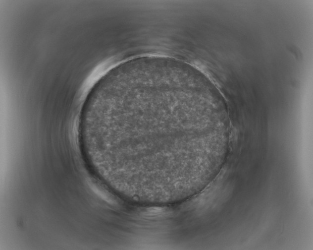 X0000113880151200910221403