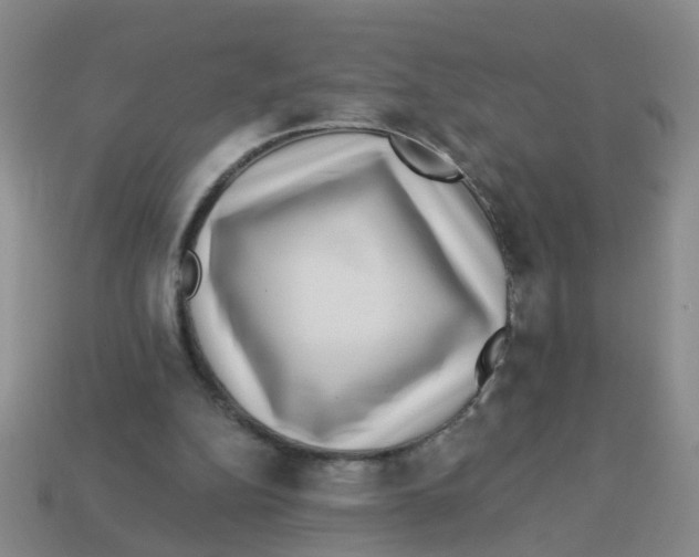 X0000113880152200910221403