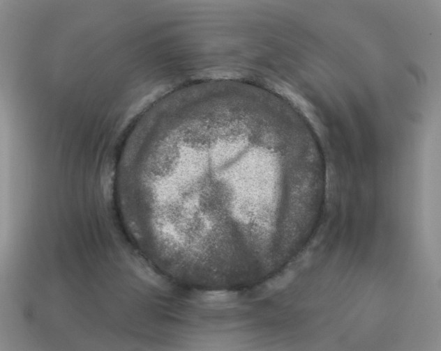 X0000113880153200910221403