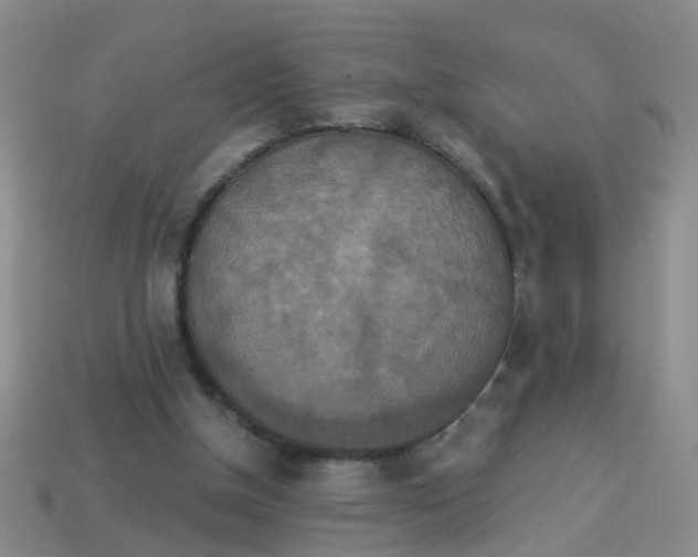 X0000113880154200910221403