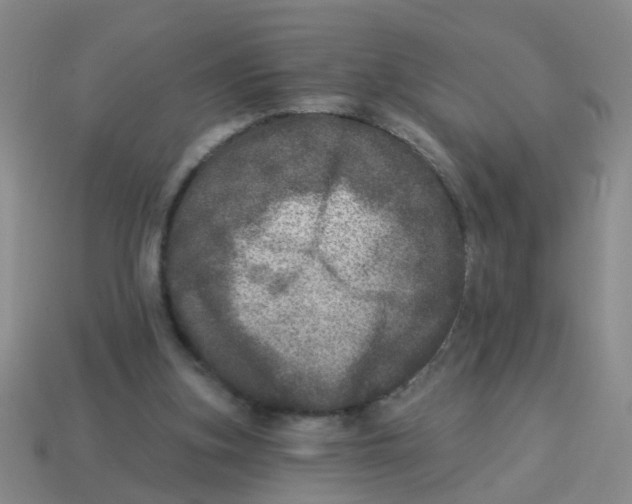 X0000113880155200910221403