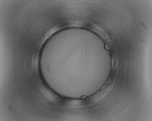 X0000113880156200910221403