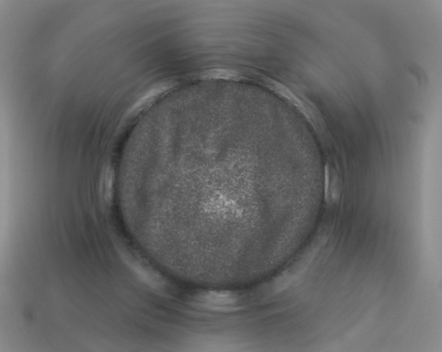 X0000113880157200910221403
