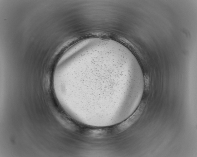 X0000113880158200910221403