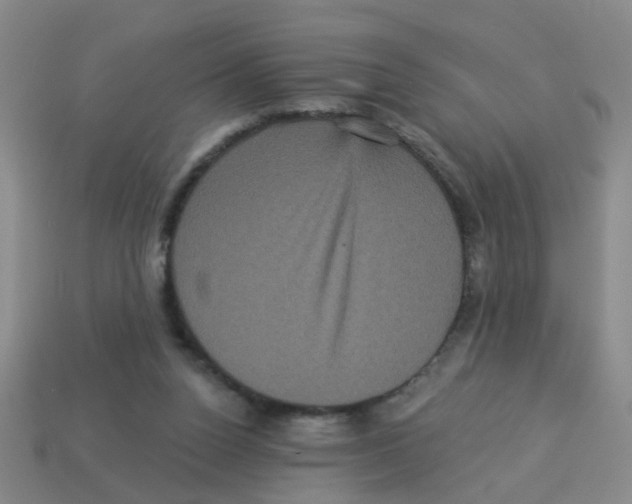 X0000113880160200910221403