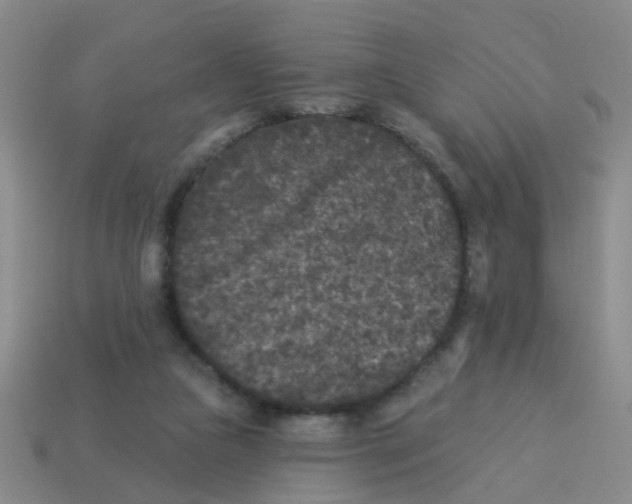 X0000113880161200910221403