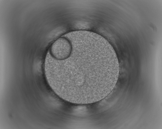 X0000113880162200910221403