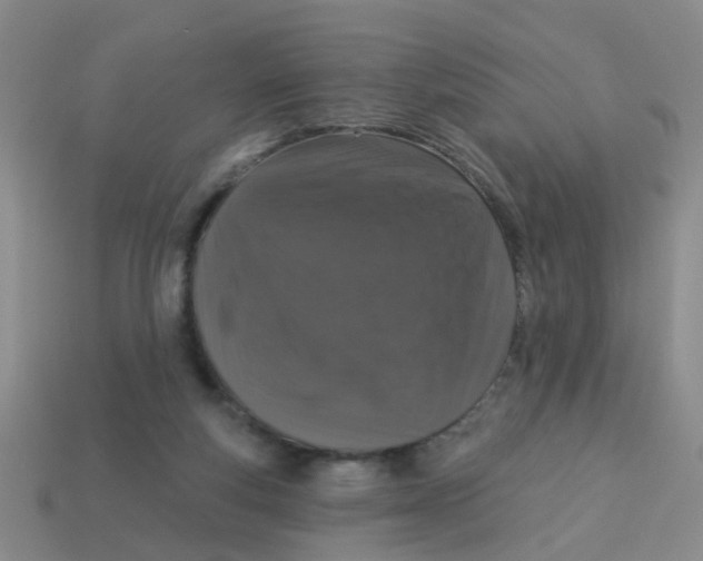X0000113880163200910221403