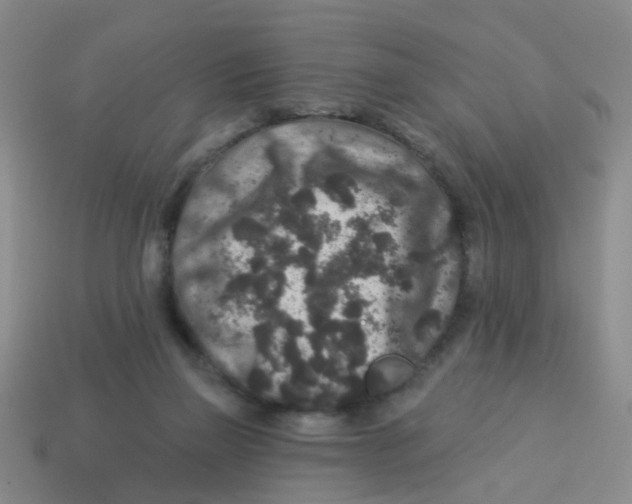 X0000113880165200910221403