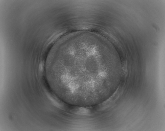 X0000113880166200910221403