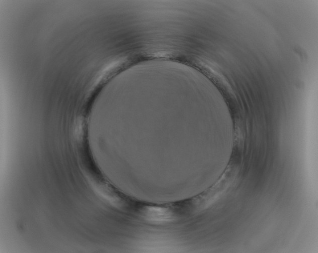 X0000113880167200910221403