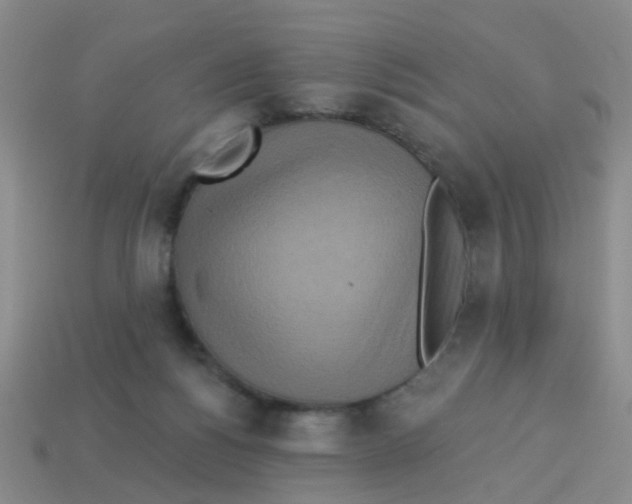 X0000113880168200910221403