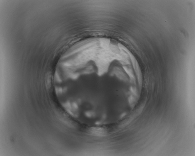 X0000113880169200910221403