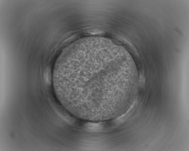 X0000113880170200910221403