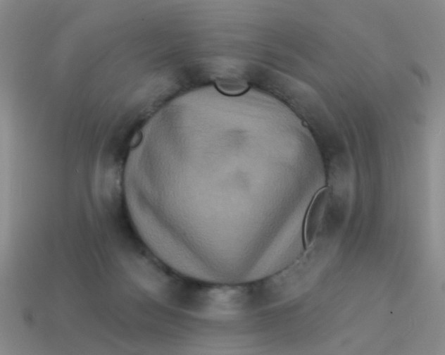 X0000113880172200910221403