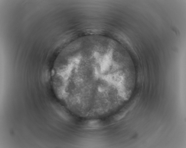 X0000113880173200910221403