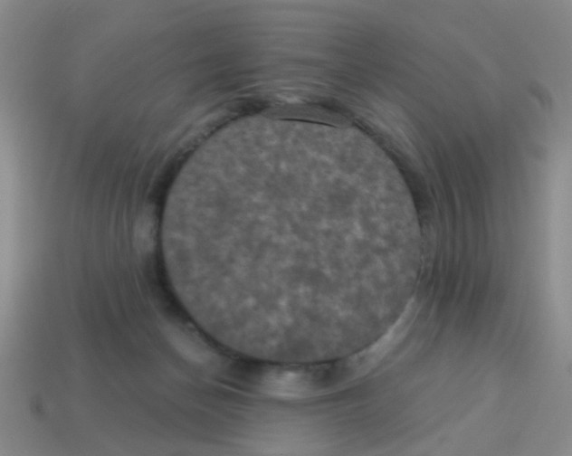 X0000113880174200910221403