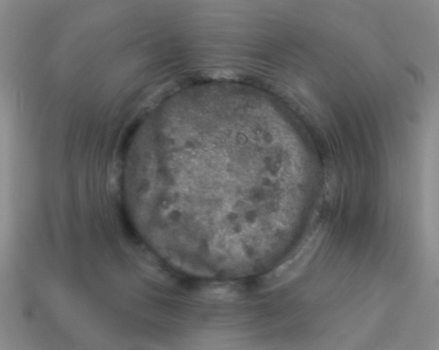X0000113880175200910221403