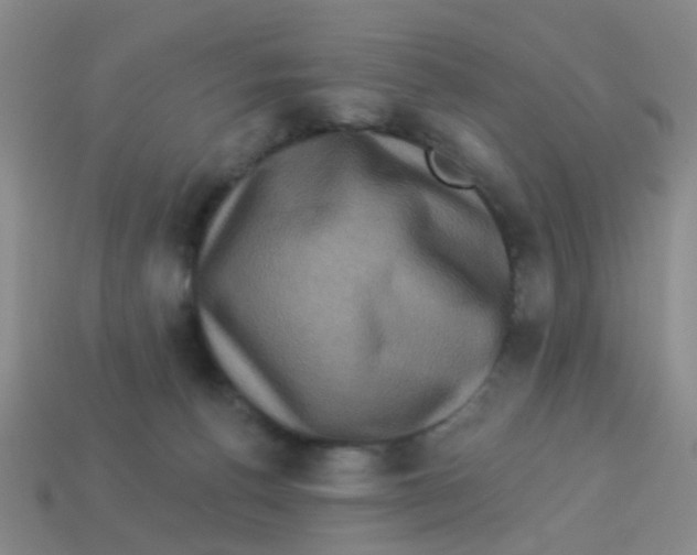 X0000113880176200910221403