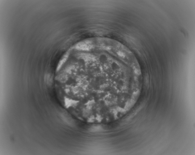 X0000113880177200910221403
