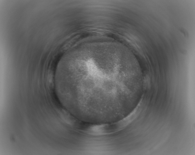 X0000113880178200910221403