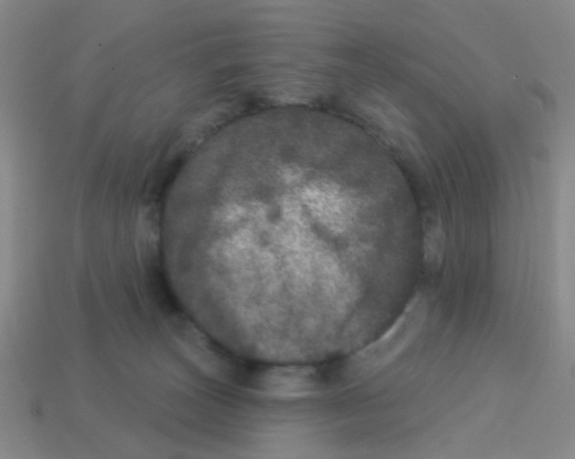X0000113880179200910221404