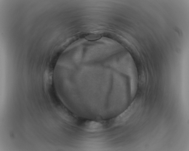 X0000113880180200910221404