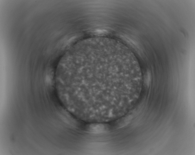 X0000113880181200910221404