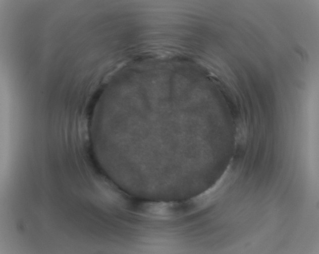 X0000113880182200910221404