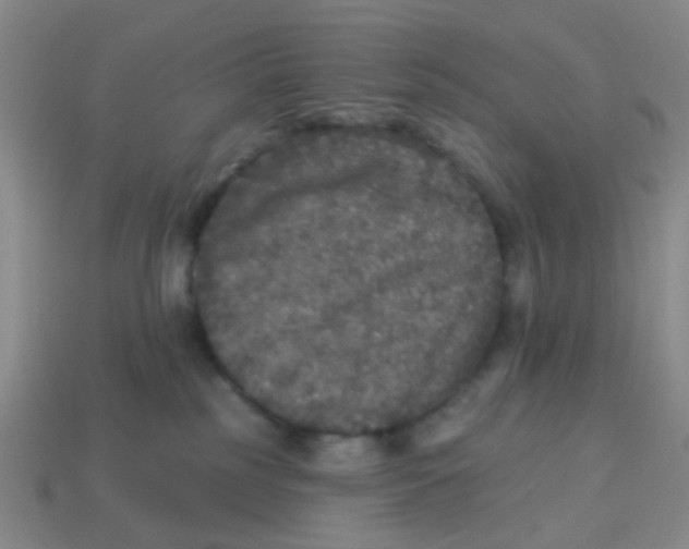 X0000113880185200910221404