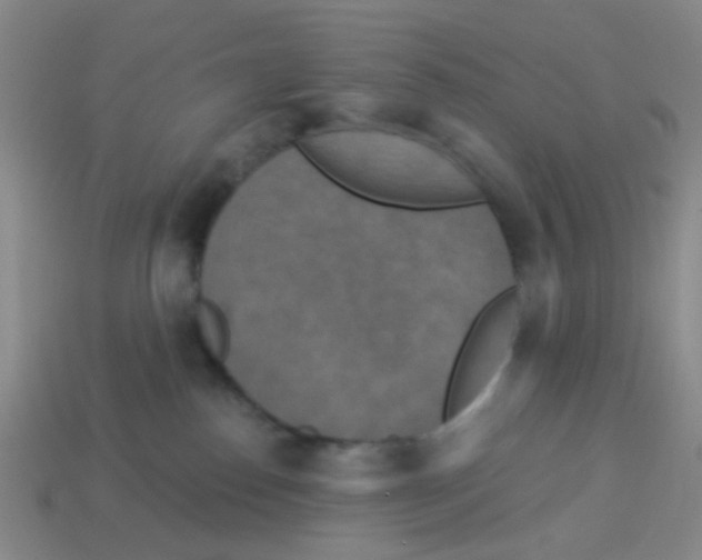 X0000113880186200910221404