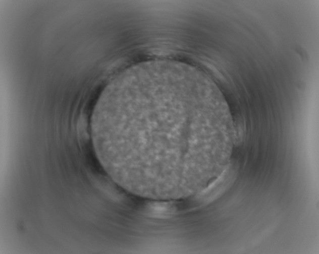 X0000113880187200910221404